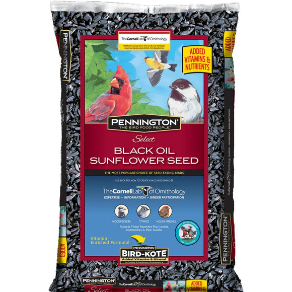 Pennington Select Black Oil Sunflower Wild Bird Seed and Feed, 50 Lbs