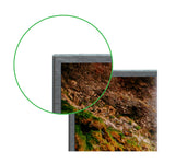 Sceptre 32" Class 720P HD LED TV X322BV-SR